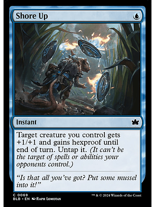 Shore Up | Español | NM | BLB