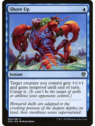 Shore Up | Español | NM | DMU