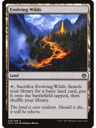 Evolving Wilds | Inglés | NM | IMA