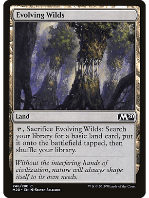 Evolving Wilds | Español | NM | M20