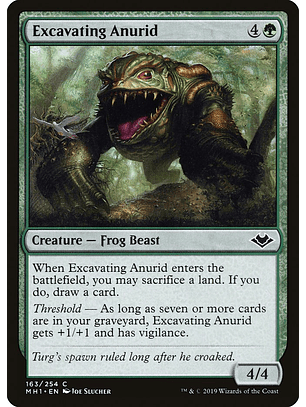 Excavating Anurid | Español | NM | MH1