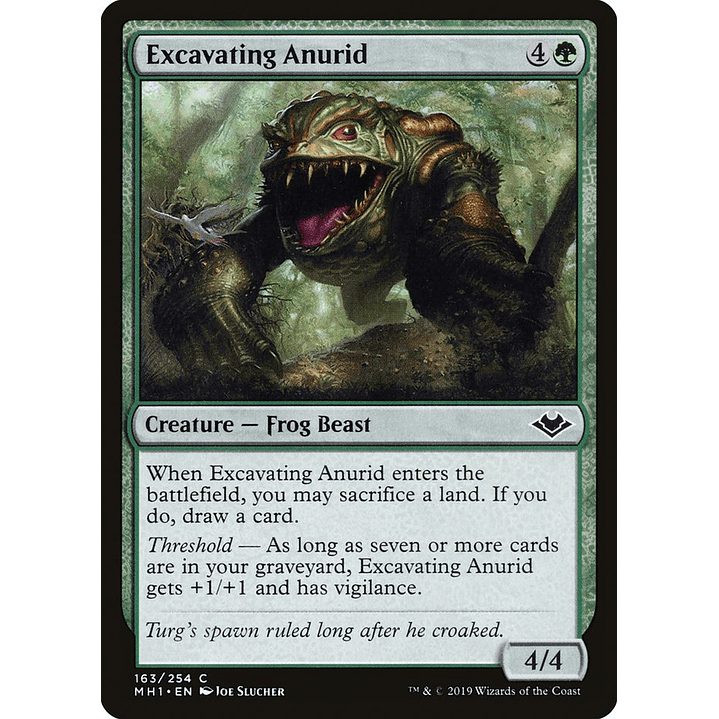 Excavating Anurid | Español | NM | MH1 1