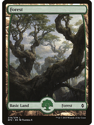 Forest | Inglés | NM | BFZ