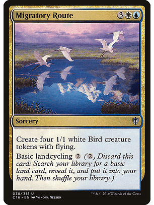 Migratory Route | Inglés | NM | C16