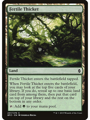 Fertile Thicket | Inglés | NM | BFZ