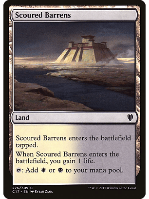 Scoured Barrens | Español | NM | C17