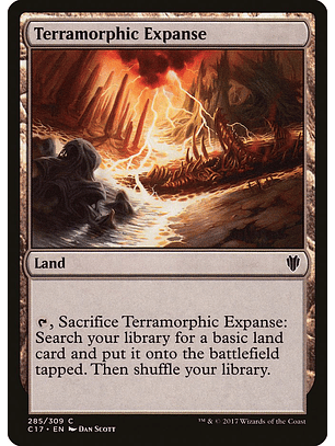 Terramorphic Expanse | Español | NM | C17