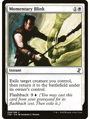 Momentary Blink | Inglés | NM | TSR