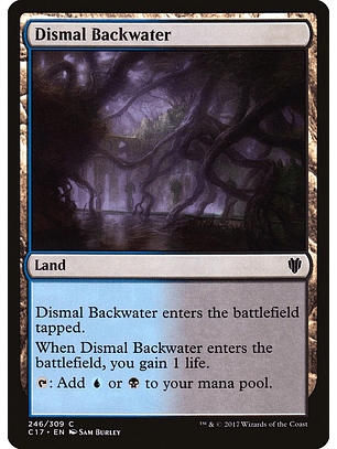 Dismal Backwater | Español | NM | C17