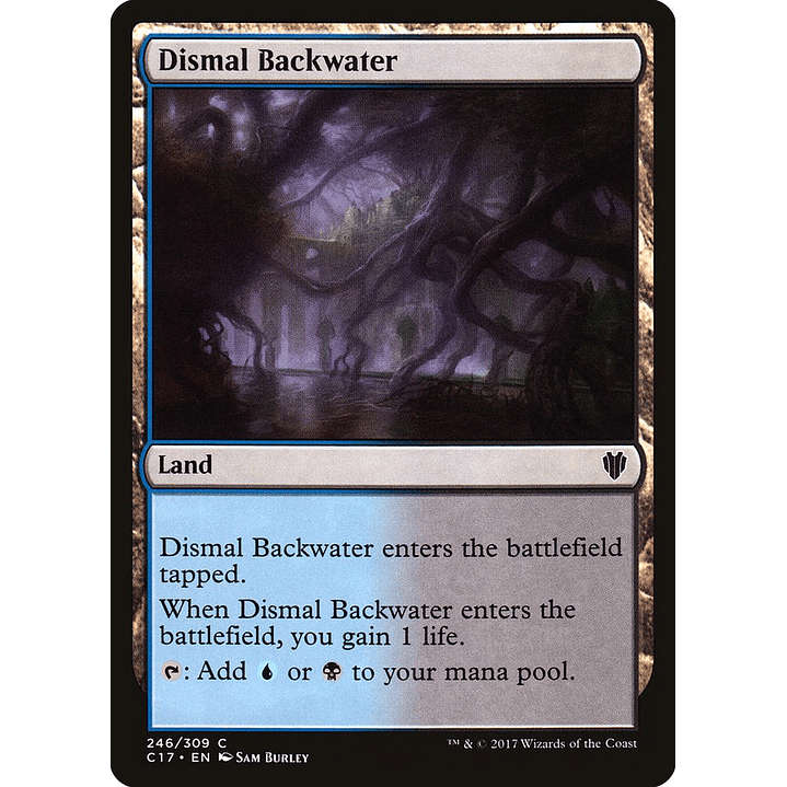 Dismal Backwater | Español | NM | C17 1
