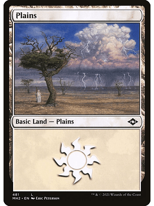 Plains (foil) | Inglés | NM | MH2