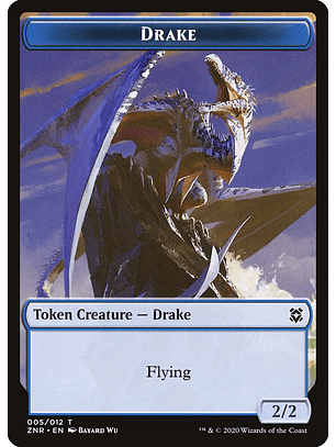 Drake | Español | NM | TZNR