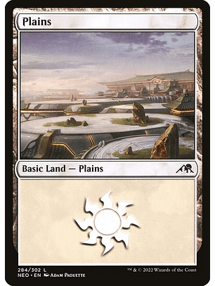 Plains (foil) | Inglés | NM | NEO