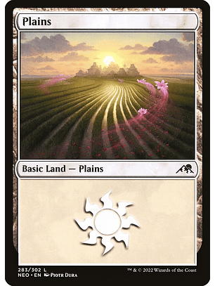 Plains (foil) | Inglés | NM | NEO
