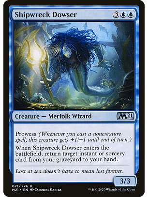 Shipwreck Dowser | Español | NM | M21