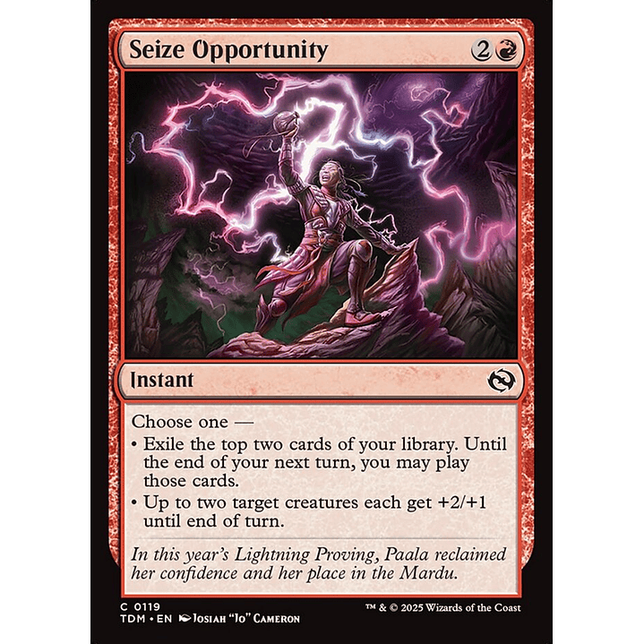 Seize Opportunity | Inglés | NM | TDM 1