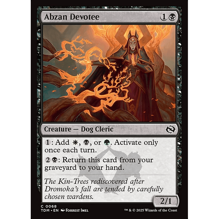 Abzan Devotee (foil) | Inglés | NM | TDM 1