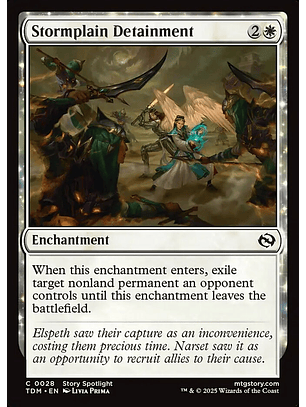 Stormplain Detainment | Inglés | NM | TDM