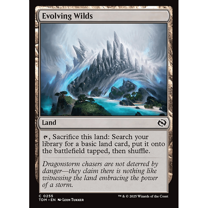 Evolving Wilds | Inglés | NM | TDM 1