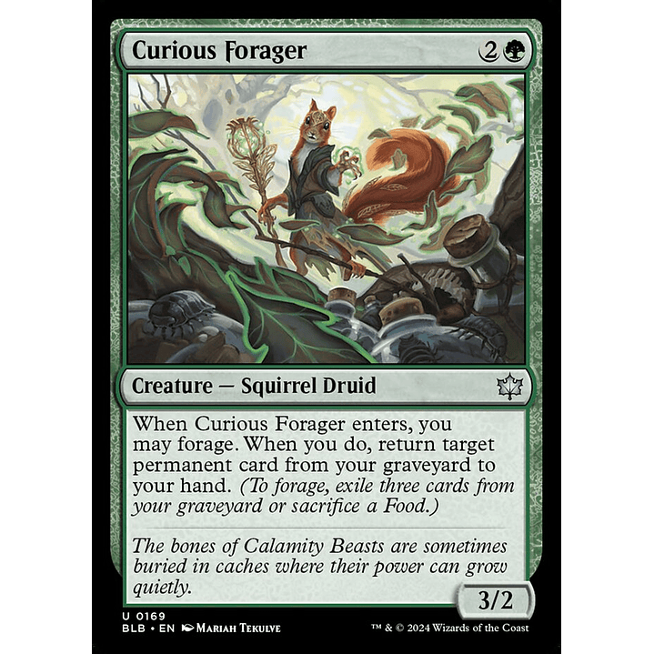 Curious Forager | Inglés | NM | BLB 1