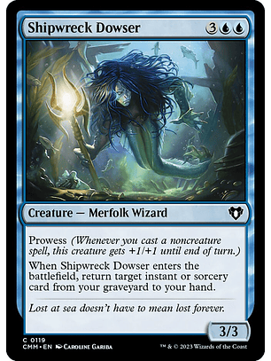 Shipwreck Dowser | Inglés | NM | CMM