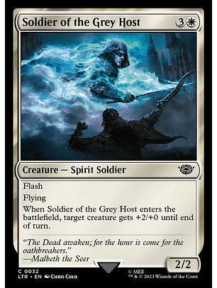 Soldier of the Grey Host | Inglés | NM | LTR