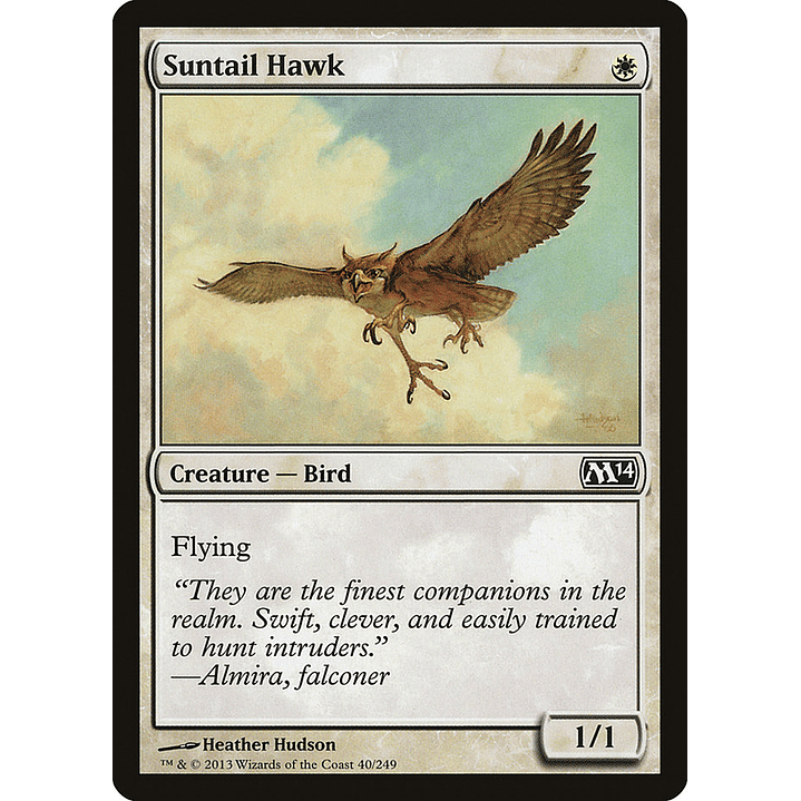 Suntail Hawk | Español | NM | M14 1