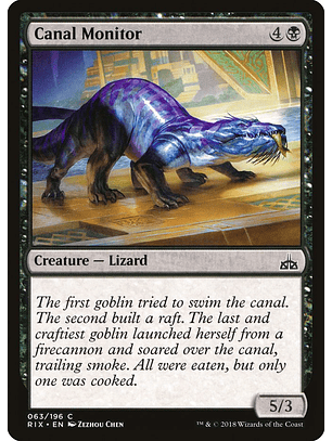 Canal Monitor | Español | NM | RIX