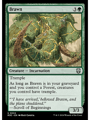 Brawn | Inglés | NM | M3C