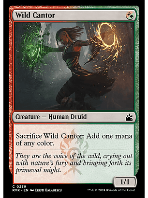 Wild Cantor | Español | NM | RVR