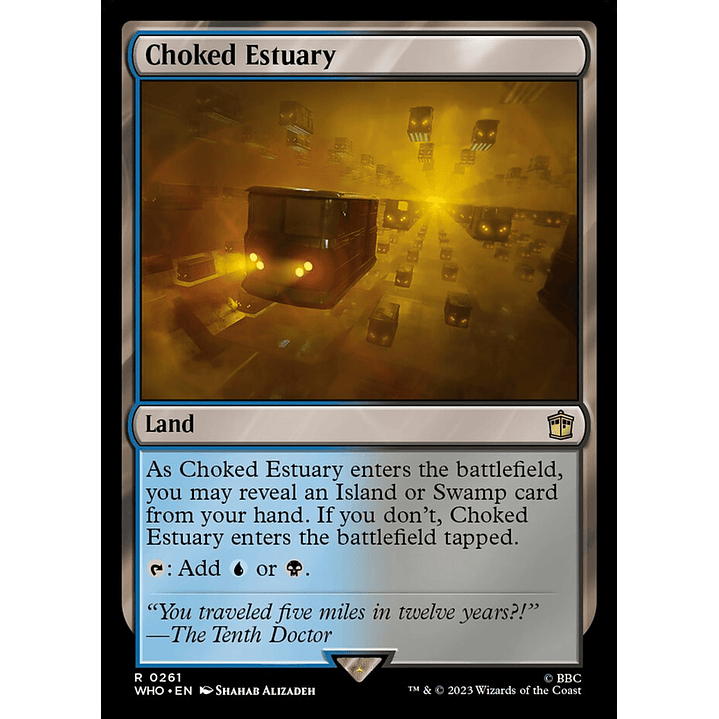 Choked Estuary | Inglés | NM | WHO 1