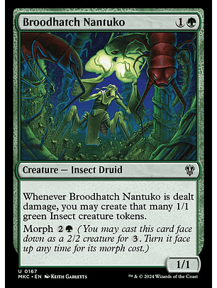 Broodhatch Nantuko | Inglés | NM | MKC