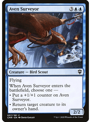 Aven Surveyor | Español | NM | CMR