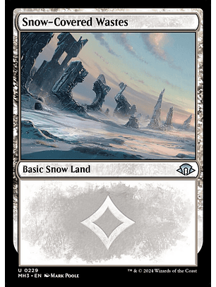 Snow-Covered Wastes (foil) | Inglés | NM | MH3