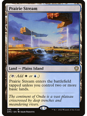 Prairie Stream | Español | NM | DMC