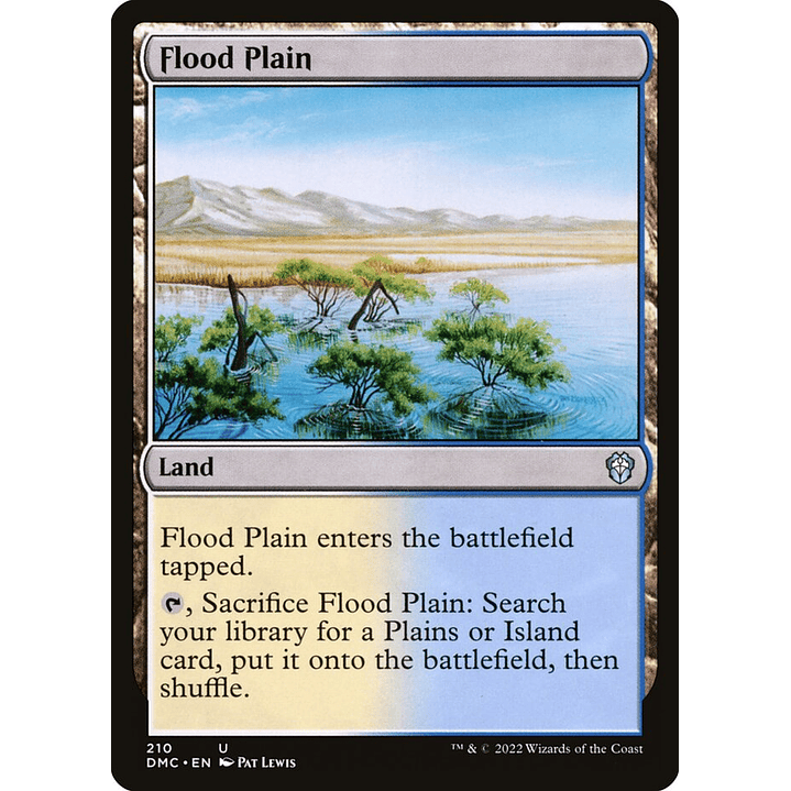 Flood Plain | Inglés | NM | DMC 1