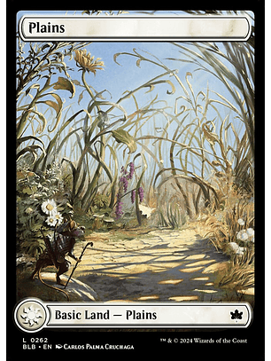 Plains (foil) | Inglés | NM | BLB