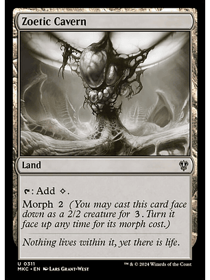 Zoetic Cavern | Inglés | NM | MKC