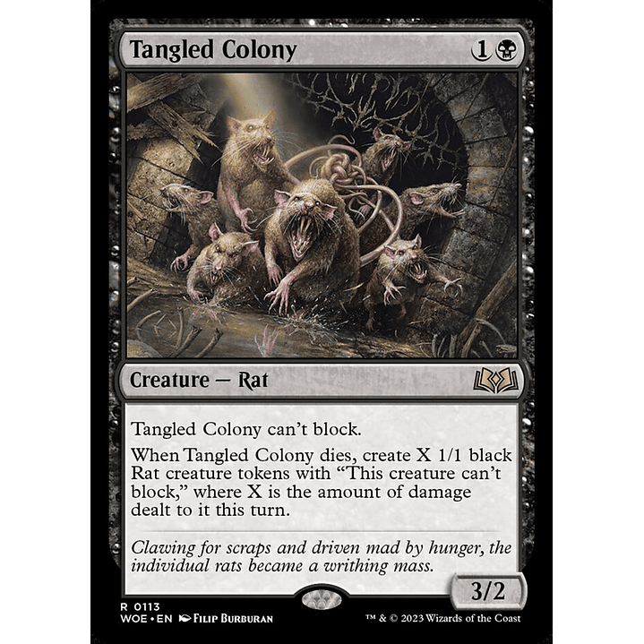 Tangled Colony | Español | NM | WOE 1