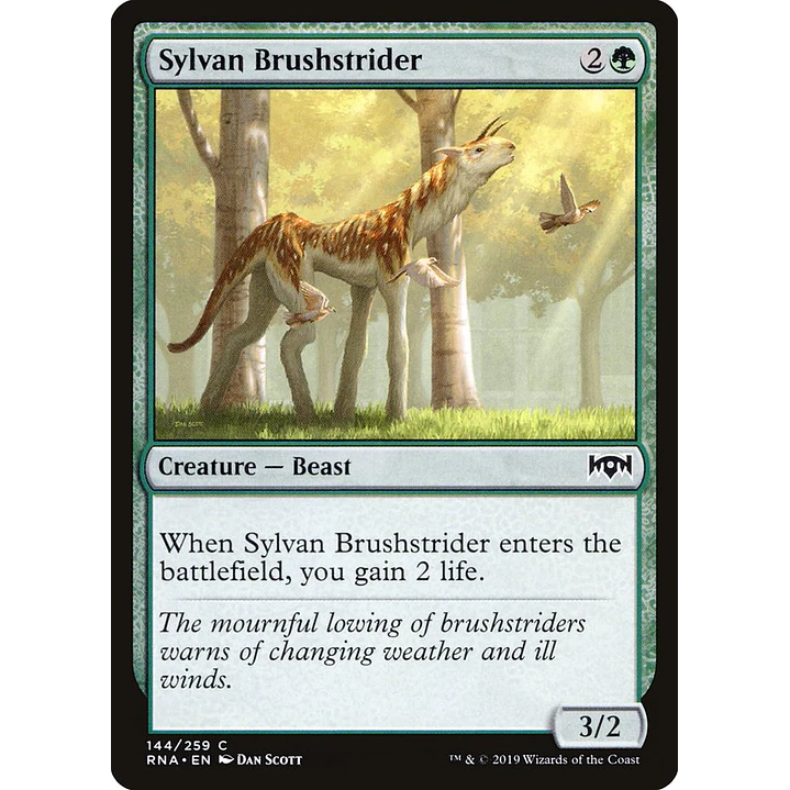 Sylvan Brushstrider | Inglés | NM | RNA 1