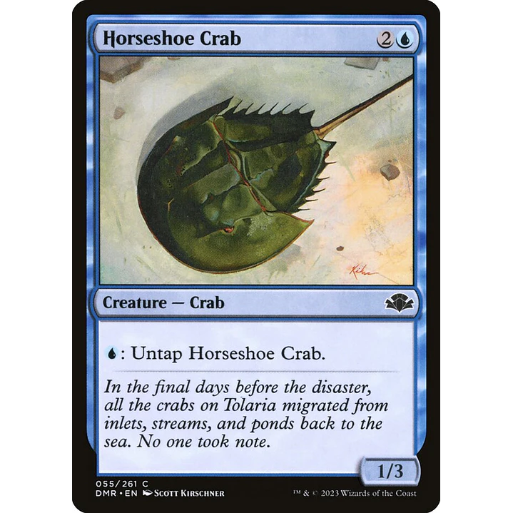 Horseshoe Crab | Inglés | NM | DMR 1