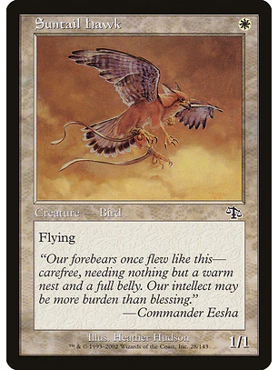 Suntail Hawk (Retro Frame) | Español | NM | JUD