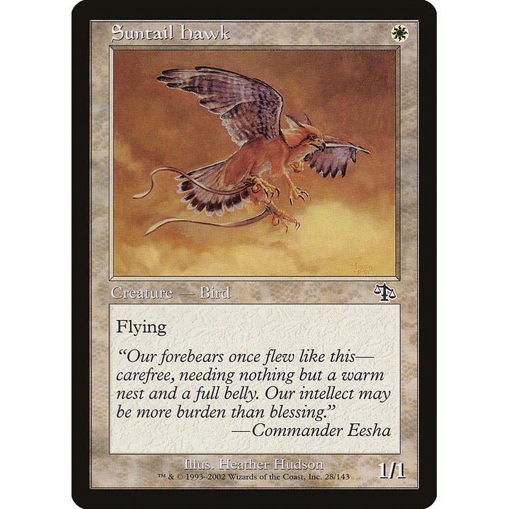 Suntail Hawk (Retro Frame) | Español | NM | JUD 1