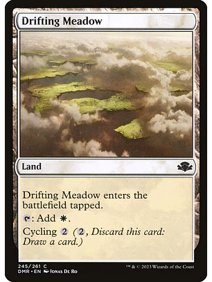 Drifting Meadow | Inglés | NM | DMR