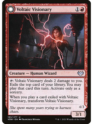 Voltaic Visionary // Volt-Charged Berserker | Inglés | NM | VOW