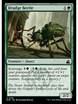 Drudge Beetle | Inglés | NM | RVR