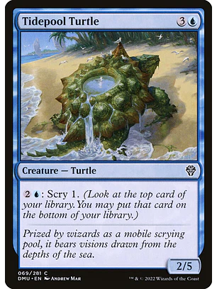 Tidepool Turtle | Inglés | NM | DMU