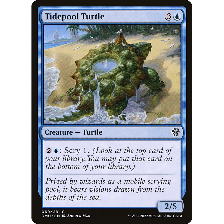 Tidepool Turtle | Inglés | NM | DMU 1