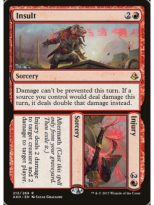 Insult // Injury | Español | NM | AKH