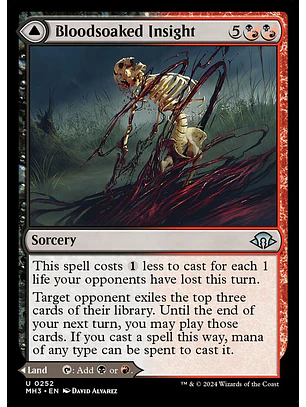 Bloodsoaked Insight // Sanguine Morass | Inglés | NM | MH3